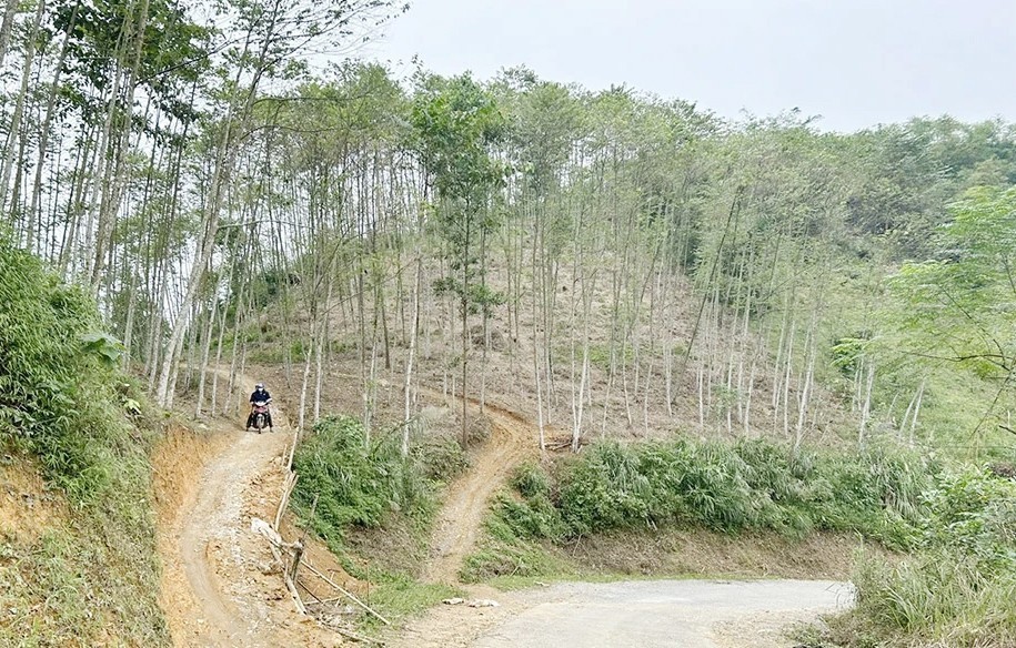 image-2-1763745882.jpg
