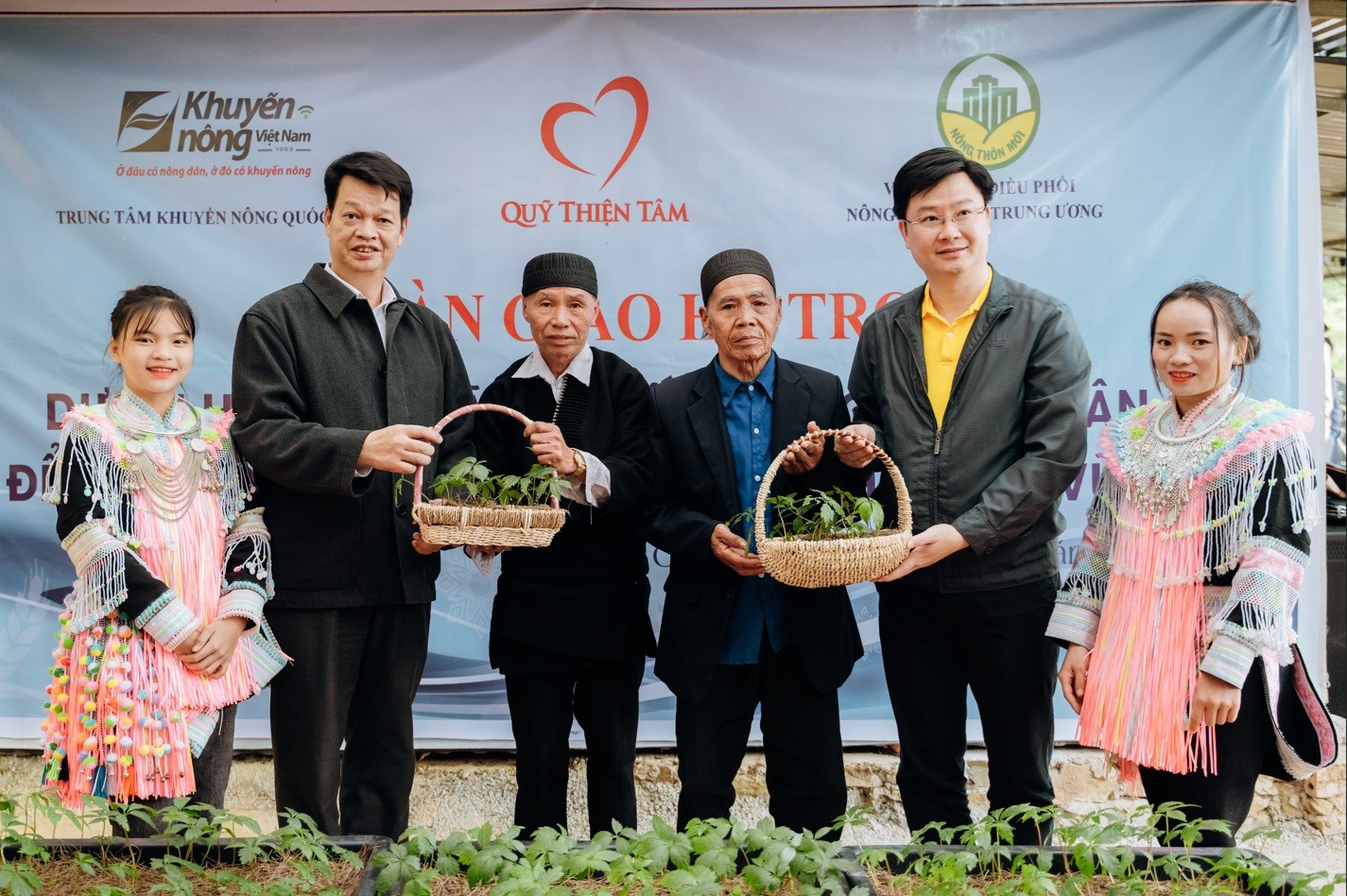 giam-doc-quy-thien-tam-tang-cay-sam-giong-cho-cac-ho-ngheo-tai-lai-chau-1790999743.jpg