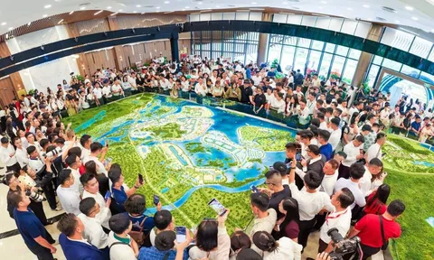Rời bục giảng bước vào nghề môi giới BĐS, người thành giám đốc kinh doanh, người là Top Sales nhiều năm liền
